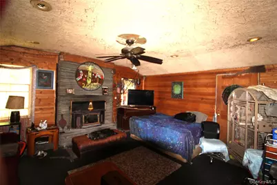 834 Cooley Road, Parksville, NY 12768 - Photo 9