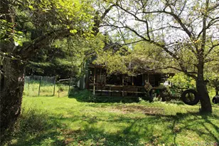 834 Cooley Rd, Parksville, NY 12768 - Photo 3