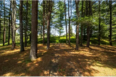 174 County Route 11, Gallatin, NY 12567 - Photo 35