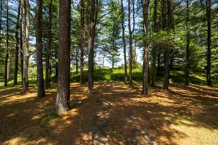 174 Co Rte 11, Gallatin, NY 12567 - Photo 35