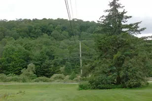 14 Fulton Rd, Roscoe, NY 12776 - Photo 35