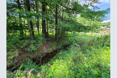 316 W Lake Street, Liberty, NY 12754 - Photo 5