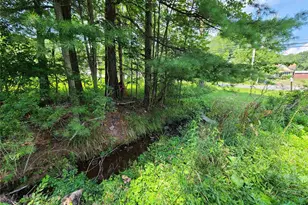 316 W Lake St, Liberty, NY 12754 - Photo 5