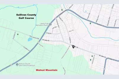 316 W Lake Street, Liberty, NY 12754 - Photo 15