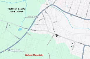 316 W Lake St, Liberty, NY 12754 - Photo 15