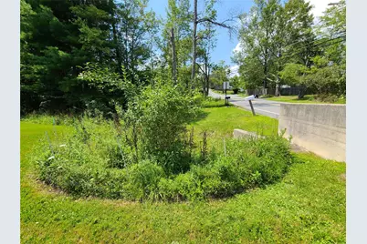 316 W Lake Street, Liberty, NY 12754 - Photo 3