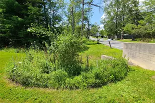 316 W Lake St, Liberty, NY 12754 - Photo 3