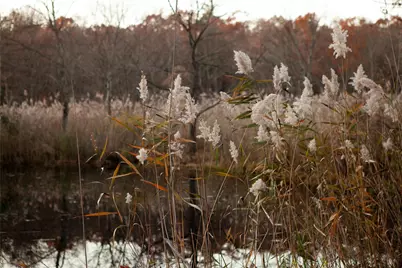 285 Sopak Road, Elizaville, NY 12523 - Photo 23