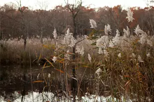 285 Sopak Rd, Elizaville, NY 12523 - Photo 23