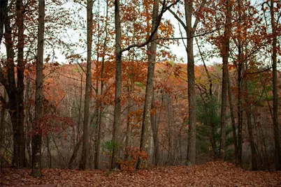 285 Sopak Road, Elizaville, NY 12523 - Photo 25