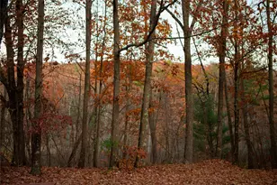 285 Sopak Rd, Elizaville, NY 12523 - Photo 25