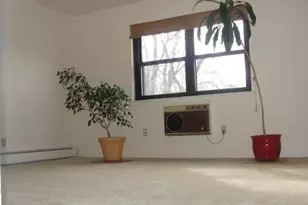 220 Sneden Pl, Spring Valley, NY 10977 - Photo 15