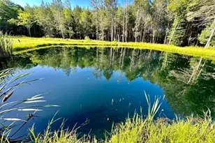 595 Hurd and Parks Rd, Swan Lake, NY 12783 - Photo 5