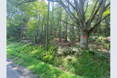 South Road, Wurtsboro, NY 12790 - Photo 5