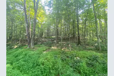 South Road, Wurtsboro, NY 12790 - Photo 3