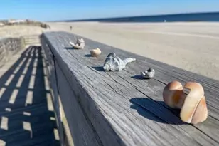 150 E Beech St, Long Beach, NY 11561 - Photo 35