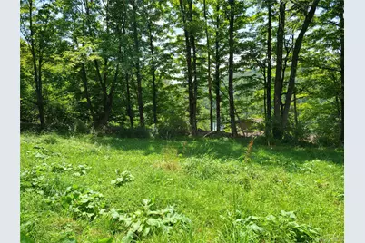 299-301 Stump Pond Road, Livingston Manor, NY 12758 - Photo 41