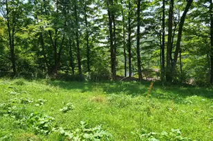 299-301 Stump Pond Rd, Livingston Manor, NY 12758 - Photo 41