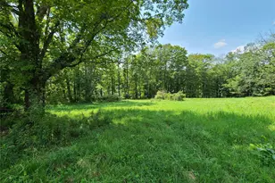 299-301 Stump Pond Rd, Livingston Manor, NY 12758 - Photo 39