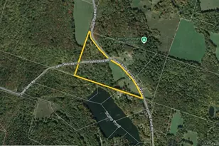 299-301 Stump Pond Rd, Livingston Manor, NY 12758 - Photo 47