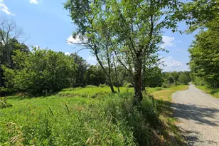 299-301 Stump Pond Rd, Livingston Manor, NY 12758 - Photo 43