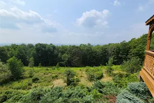 203 Skyline Dr, Woodbourne, NY 12788 - Photo 31