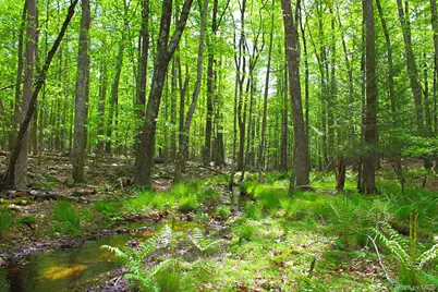 3751 State Route 52, Pine Bush, NY 12566 - Photo 41