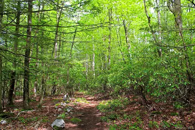 3751 State Route 52, Pine Bush, NY 12566 - Photo 45