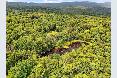 3751 State Route 52, Pine Bush, NY 12566 - Photo 49