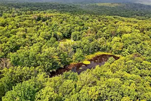 3751 State Route 52, Pine Bush, NY 12566 - Photo 49