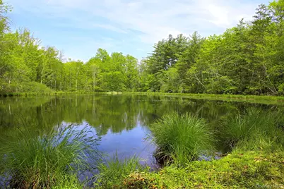 3751 State Route 52, Pine Bush, NY 12566 - Photo 43