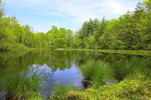 3751 State Route 52, Pine Bush, NY 12566 - Photo 43