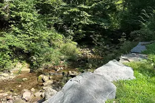 351 Greenville Rd, Sundown, NY 12740 - Photo 5