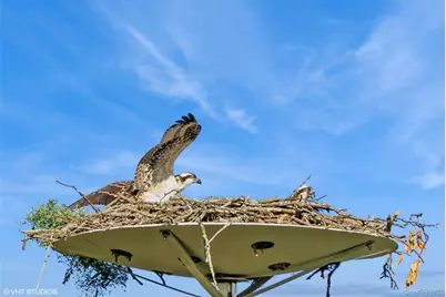 2 Hawk Drive, Lloyd Harbor, NY 11743 - Photo 29