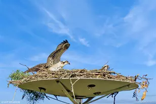 2 Hawk Dr, Lloyd Harbor, NY 11743 - Photo 29