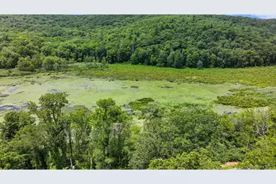 263 Bog Hollow Road, Wassaic, NY 12592 - Photo 35