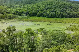 263 Bog Hollow Rd, Wassaic, NY 12592 - Photo 35