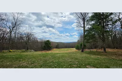 125 Woods Road, Barryville, NY 12719 - Photo 7