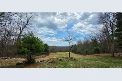 125 Woods Road, Barryville, NY 12719 - Photo 5