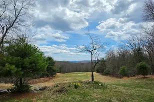125 Woods Rd, Barryville, NY 12719 - Photo 5