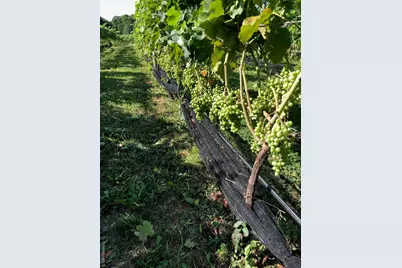 35950 Main Road, Cutchogue, NY 11935 - Photo 37