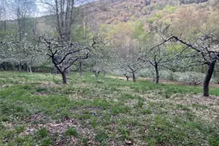 201 Basket Brook Rd, Long Eddy, NY 12760 - Photo 35