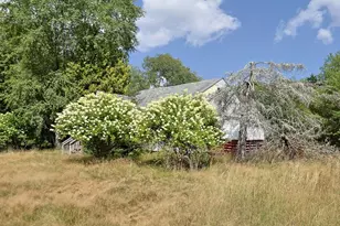 3560 State Route 42, Monticello, NY 12701 - Photo 3