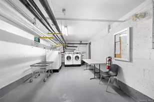 29 W Mill Dr, Great Neck, NY 11021 - Photo 29