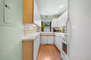 29 W Mill Dr, Great Neck, NY 11021 - Photo 13