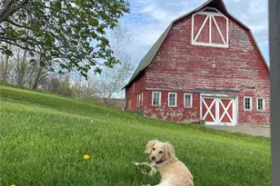 314 Schoolhouse Rd, Ghent, NY 12017 - Photo 7