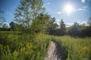 314 Schoolhouse Rd, Ghent, NY 12017 - Photo 23