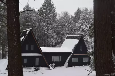 521 Perry Road, Swan Lake, NY 12720 - Photo 29