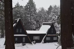 521 Perry Rd, Swan Lake, NY 12720 - Photo 29