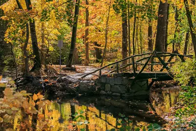 45 Popham Road #4J, Scarsdale, NY 10583 - Photo 27